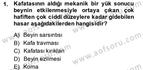 Temel İlkyardım Bilgisi Dersi 2013 - 2014 Yılı (Vize) Ara Sınav Soruları 1. Soru