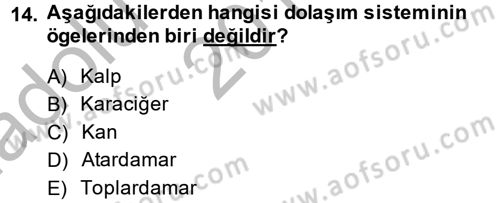 Temel İlkyardım Bilgisi Dersi 2013 - 2014 Yılı (Vize) Ara Sınav Soruları 14. Soru