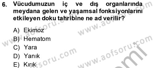Temel İlkyardım Bilgisi Dersi 2013 - 2014 Yılı (Vize) Ara Sınav Soruları 6. Soru