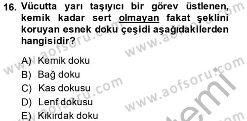 Temel İlkyardım Bilgisi Dersi 2014 - 2015 Yılı (Vize) Ara Sınav Soruları 16. Soru