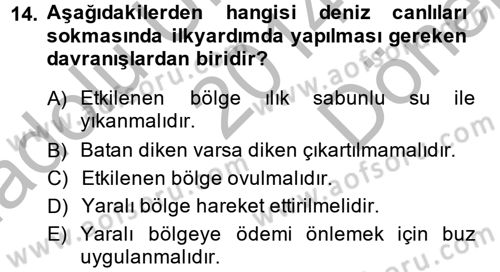 Temel İlkyardım Bilgisi Dersi 2014 - 2015 Yılı (Final) Dönem Sonu Sınav Soruları 14. Soru