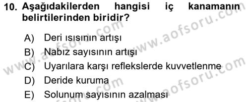 Temel İlkyardım Bilgisi Dersi 2015 - 2016 Yılı (Vize) Ara Sınav Soruları 10. Soru