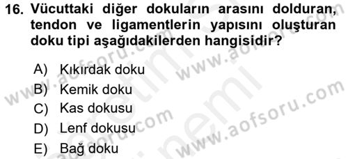 Temel İlkyardım Bilgisi Dersi 2015 - 2016 Yılı (Vize) Ara Sınav Soruları 16. Soru