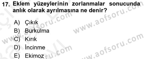 Temel İlkyardım Bilgisi Dersi Ara Sınavı Deneme Sınav Soruları 17. Soru