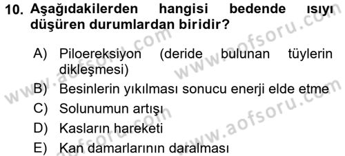 Temel İlkyardım Bilgisi Dersi 2015 - 2016 Yılı (Final) Dönem Sonu Sınav Soruları 10. Soru