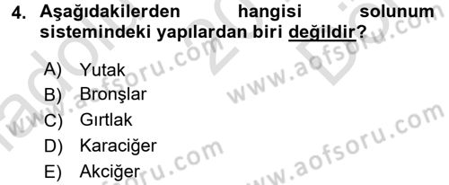 Temel İlkyardım Bilgisi Dersi 2015 - 2016 Yılı (Final) Dönem Sonu Sınav Soruları 4. Soru