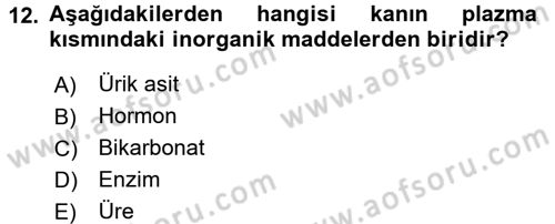 Temel İlkyardım Bilgisi Dersi 2016 - 2017 Yılı (Vize) Ara Sınav Soruları 12. Soru