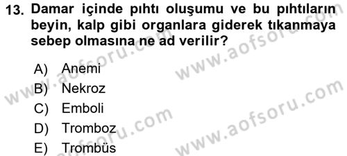 Temel İlkyardım Bilgisi Dersi 2016 - 2017 Yılı (Vize) Ara Sınav Soruları 13. Soru