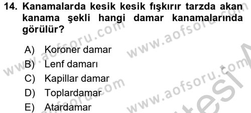 Temel İlkyardım Bilgisi Dersi 2016 - 2017 Yılı (Vize) Ara Sınav Soruları 14. Soru