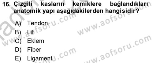 Temel İlkyardım Bilgisi Dersi 2016 - 2017 Yılı (Vize) Ara Sınav Soruları 16. Soru