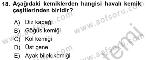Temel İlkyardım Bilgisi Dersi 2016 - 2017 Yılı (Vize) Ara Sınav Soruları 18. Soru