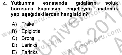 Temel İlkyardım Bilgisi Dersi 2016 - 2017 Yılı (Vize) Ara Sınav Soruları 4. Soru