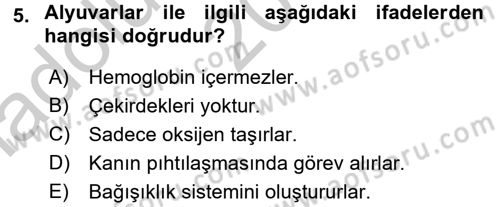 Temel İlkyardım Bilgisi Dersi 2016 - 2017 Yılı (Vize) Ara Sınav Soruları 5. Soru