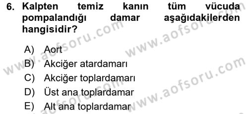 Temel İlkyardım Bilgisi Dersi 2016 - 2017 Yılı (Vize) Ara Sınav Soruları 6. Soru