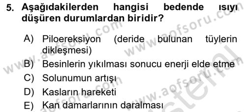 Temel İlkyardım Bilgisi Dersi 2016 - 2017 Yılı (Final) Dönem Sonu Sınav Soruları 5. Soru