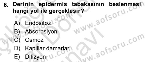 Temel İlkyardım Bilgisi Dersi 2016 - 2017 Yılı (Final) Dönem Sonu Sınav Soruları 6. Soru