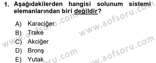Temel İlkyardım Bilgisi Dersi 2017 - 2018 Yılı (Vize) Ara Sınav Soruları 1. Soru