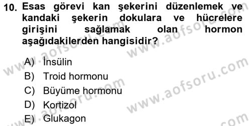 Temel İlkyardım Bilgisi Dersi 2017 - 2018 Yılı (Vize) Ara Sınav Soruları 10. Soru