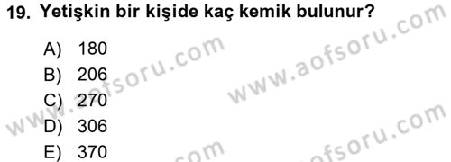 Temel İlkyardım Bilgisi Dersi Ara Sınavı Deneme Sınav Soruları 19. Soru