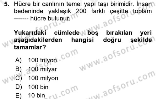 Temel İlkyardım Bilgisi Dersi Ara Sınavı Deneme Sınav Soruları 5. Soru