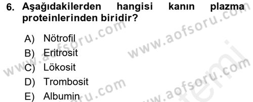 Temel İlkyardım Bilgisi Dersi Ara Sınavı Deneme Sınav Soruları 6. Soru
