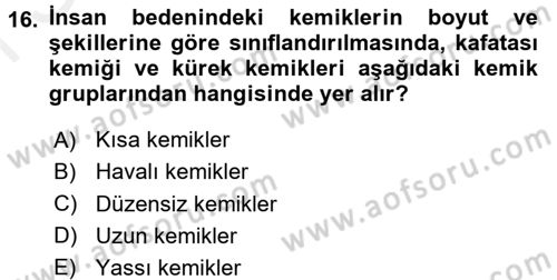 Temel İlkyardım Bilgisi Dersi 2017 - 2018 Yılı (Final) Dönem Sonu Sınav Soruları 16. Soru