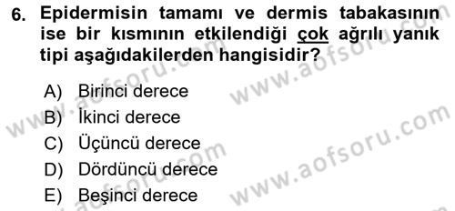 Temel İlkyardım Bilgisi Dersi 2018 - 2019 Yılı 3 Ders Sınav Soruları 6. Soru