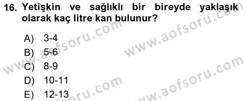 Temel İlkyardım Bilgisi Dersi 2018 - 2019 Yılı (Vize) Ara Sınav Soruları 16. Soru