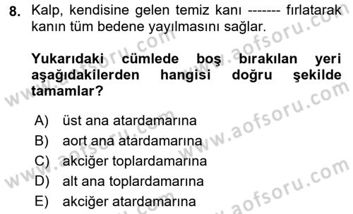 Temel İlkyardım Bilgisi Dersi 2018 - 2019 Yılı (Vize) Ara Sınav Soruları 8. Soru