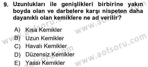 Temel İlkyardım Bilgisi Dersi 2020 - 2021 Yılı Yaz Okulu Sınav Soruları 9. Soru