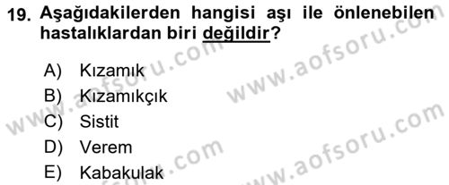 Temel İlkyardım Bilgisi Dersi 2021 - 2022 Yılı Yaz Okulu Sınav Soruları 19. Soru