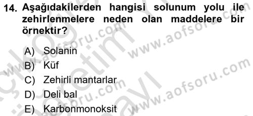 Temel İlkyardım Bilgisi Dersi 2023 - 2024 Yılı Yaz Okulu Sınav Soruları 14. Soru