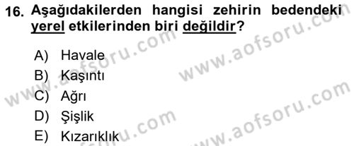 Temel İlkyardım Bilgisi Dersi 2023 - 2024 Yılı Yaz Okulu Sınav Soruları 16. Soru