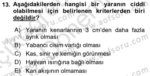 Temel İlkyardım Bilgisi Dersi 2024 - 2025 Yılı (Vize) Ara Sınav Soruları 13. Soru