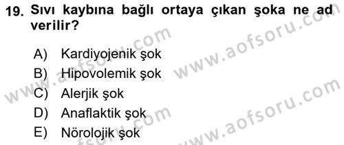 Temel İlkyardım Bilgisi Dersi 2024 - 2025 Yılı (Vize) Ara Sınav Soruları 19. Soru