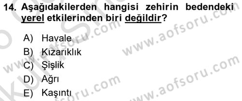 Temel İlkyardım Bilgisi Dersi 2025 - 2026 Yılı Yaz Okulu Sınav Soruları 14. Soru