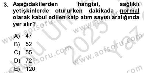 Temel İlkyardım Bilgisi Dersi 2025 - 2026 Yılı Yaz Okulu Sınav Soruları 3. Soru