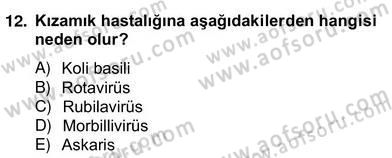 Anne Çocuk Sağlığı Ve İlkyardım Dersi 2012 - 2013 Yılı (Vize) Ara Sınav Soruları 12. Soru