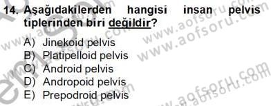 Anne Çocuk Sağlığı Ve İlkyardım Dersi 2012 - 2013 Yılı (Final) Dönem Sonu Sınav Soruları 14. Soru