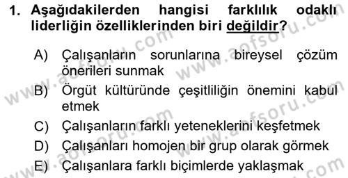 Sağlık İşletmeciliği 1 Dersi 2024 - 2025 Yılı (Final) Dönem Sonu Sınav Soruları 1. Soru