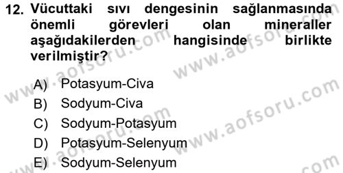 Temel Sağlık Ve Hastalık Bilgisi Dersi 2015 - 2016 Yılı (Vize) Ara Sınav Soruları 12. Soru