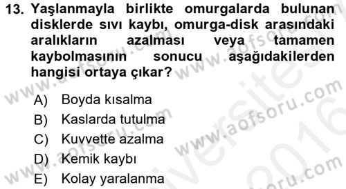 Temel Sağlık Ve Hastalık Bilgisi Dersi 2015 - 2016 Yılı (Vize) Ara Sınav Soruları 13. Soru