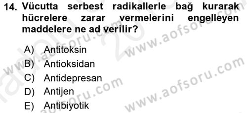 Temel Sağlık Ve Hastalık Bilgisi Dersi 2015 - 2016 Yılı (Vize) Ara Sınav Soruları 14. Soru