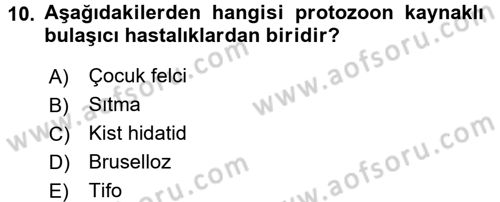 Temel Sağlık Ve Hastalık Bilgisi Dersi 2015 - 2016 Yılı (Final) Dönem Sonu Sınav Soruları 10. Soru