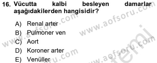 Temel Sağlık Ve Hastalık Bilgisi Dersi 2015 - 2016 Yılı (Final) Dönem Sonu Sınav Soruları 16. Soru