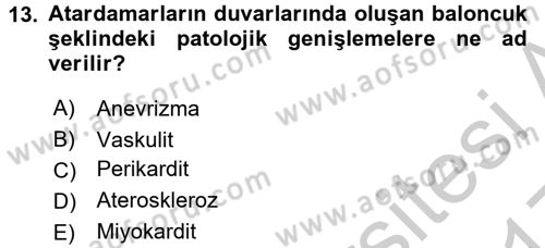 Temel Sağlık Ve Hastalık Bilgisi Dersi 2016 - 2017 Yılı 3 Ders Sınav Soruları 13. Soru
