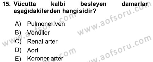 Temel Sağlık Ve Hastalık Bilgisi Dersi 2016 - 2017 Yılı 3 Ders Sınav Soruları 15. Soru