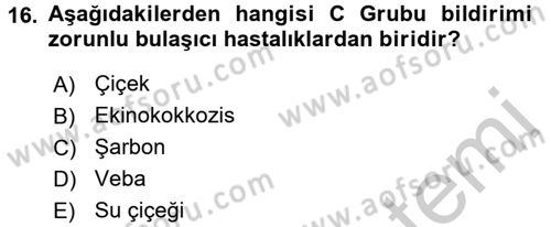 Temel Sağlık Ve Hastalık Bilgisi Dersi 2016 - 2017 Yılı 3 Ders Sınav Soruları 16. Soru