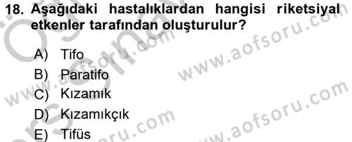 Temel Sağlık Ve Hastalık Bilgisi Dersi 2016 - 2017 Yılı 3 Ders Sınav Soruları 18. Soru