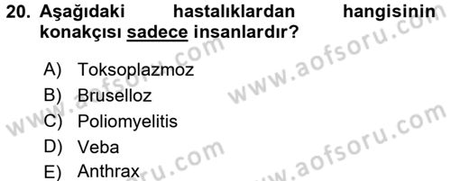 Temel Sağlık Ve Hastalık Bilgisi Dersi 2016 - 2017 Yılı 3 Ders Sınav Soruları 20. Soru